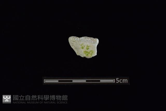 玉料藏品圖，第2張