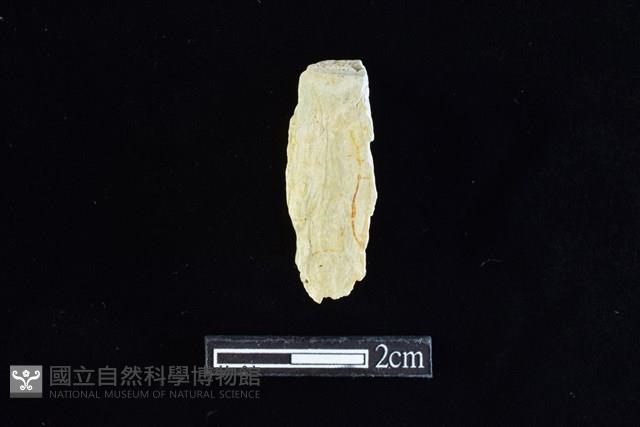 錛鑿形器藏品圖，第1張