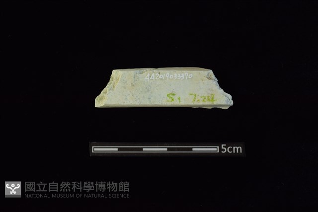 玉料藏品圖，第1張