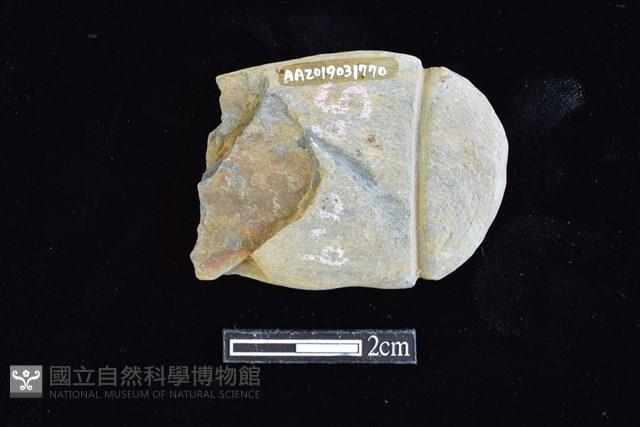 網墜藏品圖，第2張