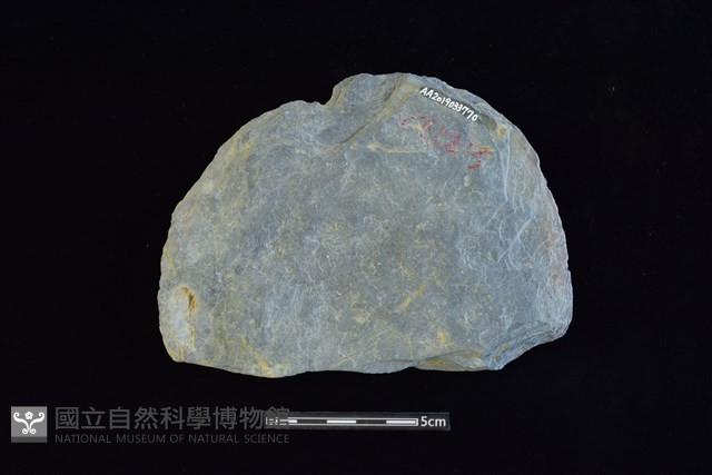 石圓片藏品圖，第2張