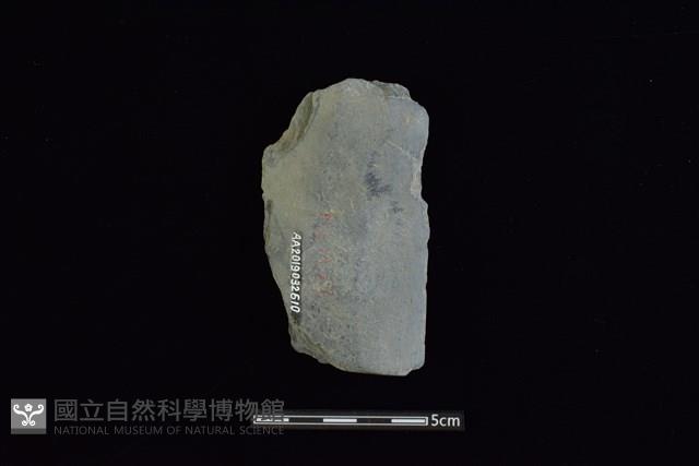 戈形器藏品圖，第2張