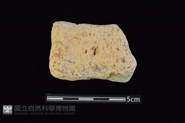 陶片藏品圖，第1張