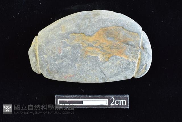 網墜藏品圖，第1張