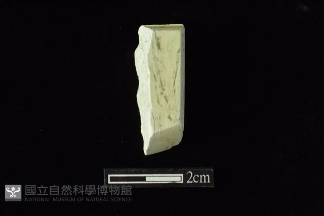 錛鑿形器藏品圖，第1張