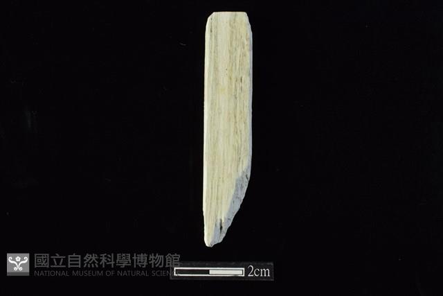 錛鑿形器藏品圖，第1張