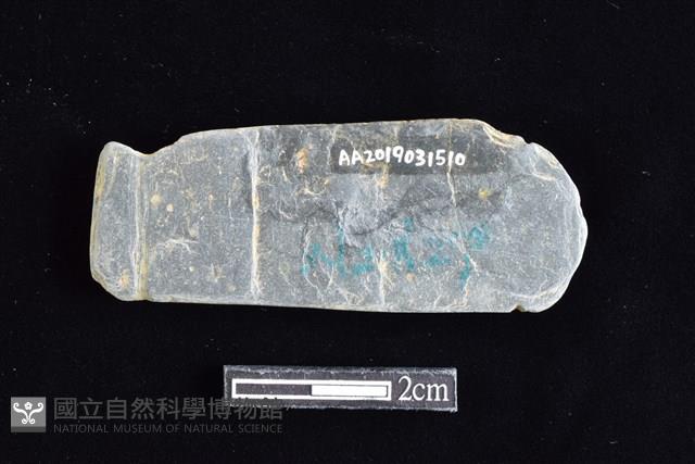 網墜藏品圖，第2張