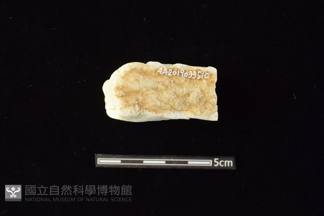 石材藏品圖，第2張