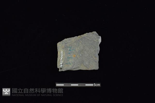 戈形器藏品圖，第2張