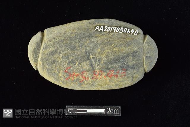 網墜藏品圖，第2張