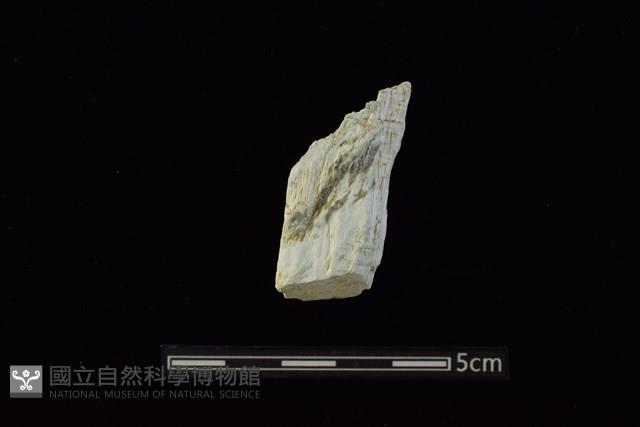 錛鑿形器藏品圖，第1張