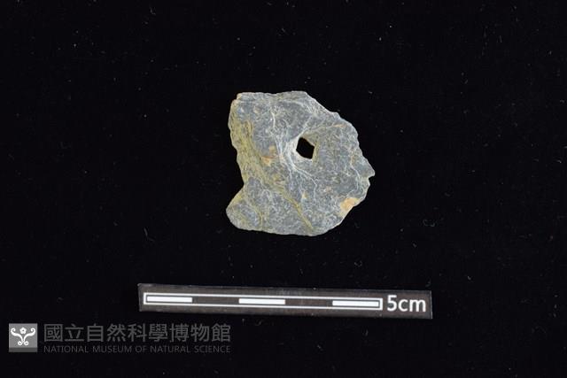 穿孔石板藏品圖，第1張