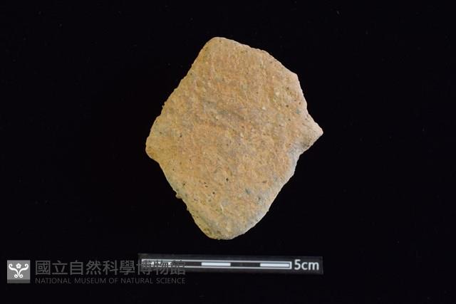 陶片藏品圖，第1張