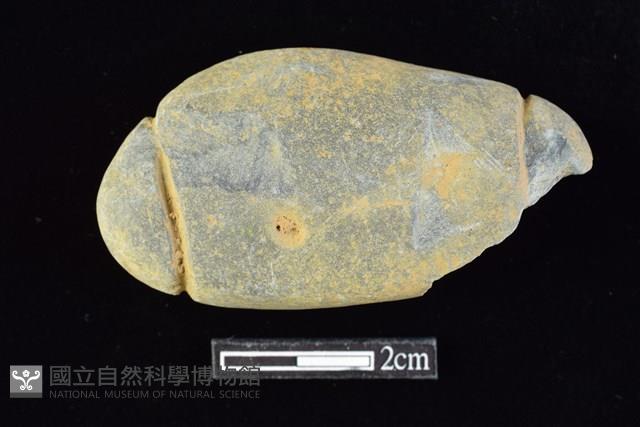 網墜藏品圖，第1張