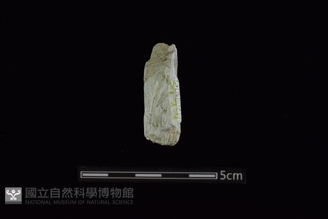 玉料藏品圖，第2張