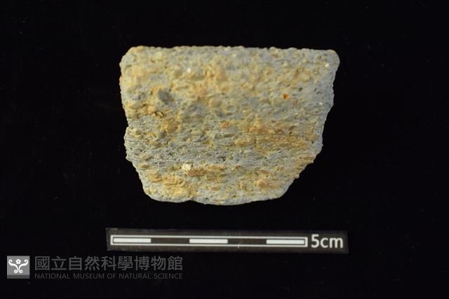 陶罐藏品圖，第1張