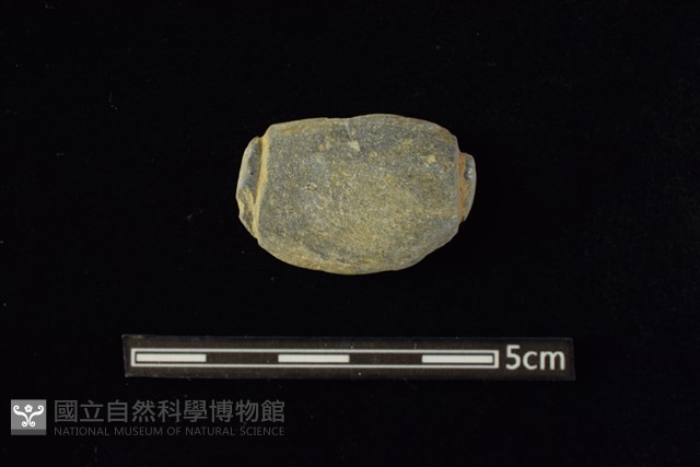 網墜藏品圖，第1張