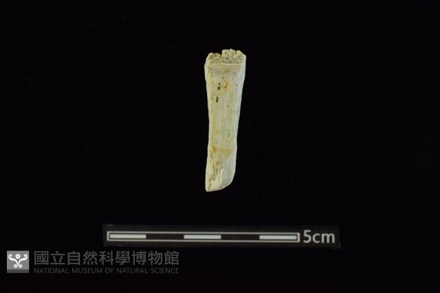 玉料藏品圖，第1張