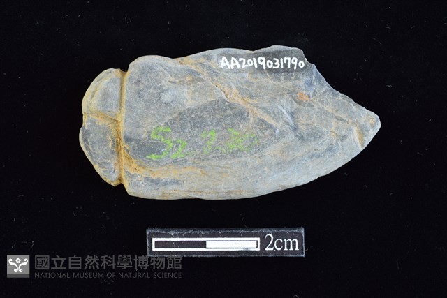 網墜藏品圖，第2張