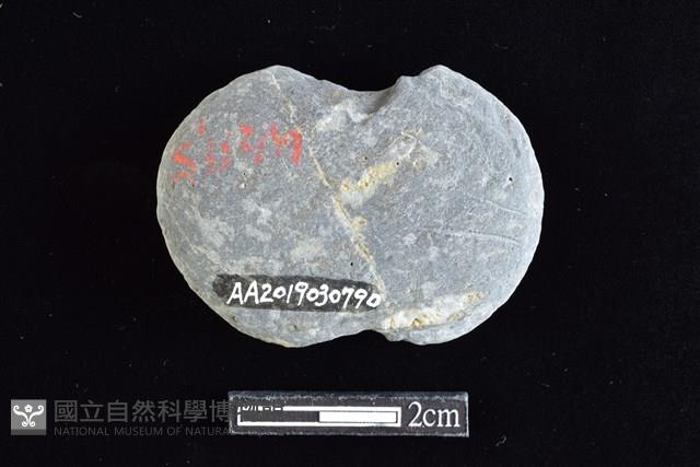 網墜藏品圖，第2張