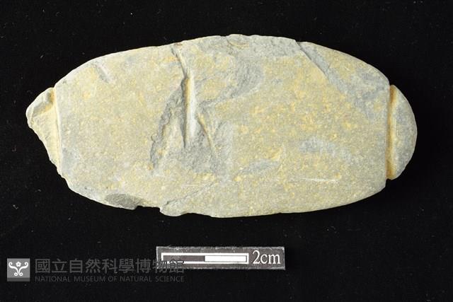 網墜藏品圖，第1張