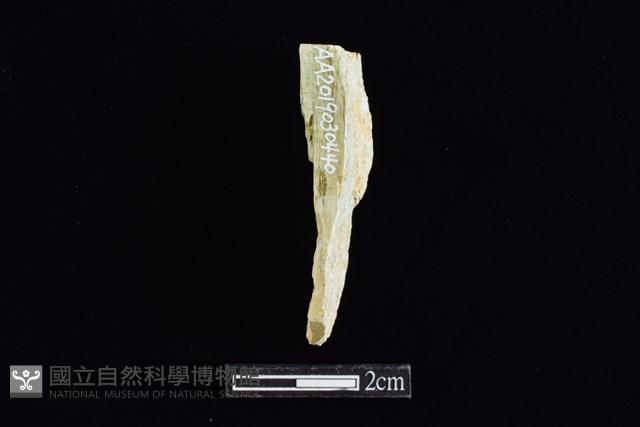 錛鑿形器藏品圖，第1張