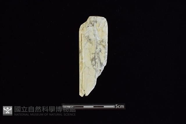 錛鑿形器藏品圖，第1張