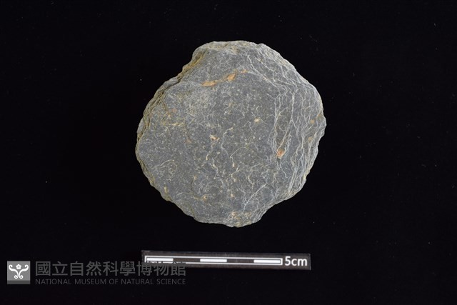 石圓片藏品圖，第1張