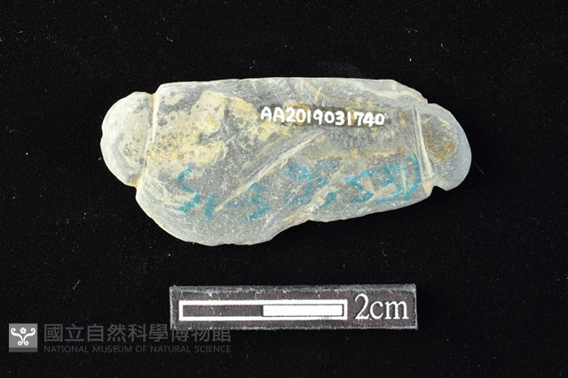 網墜藏品圖，第2張