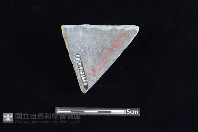 陶片藏品圖，第2張