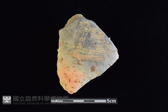 陶片藏品圖，第1張