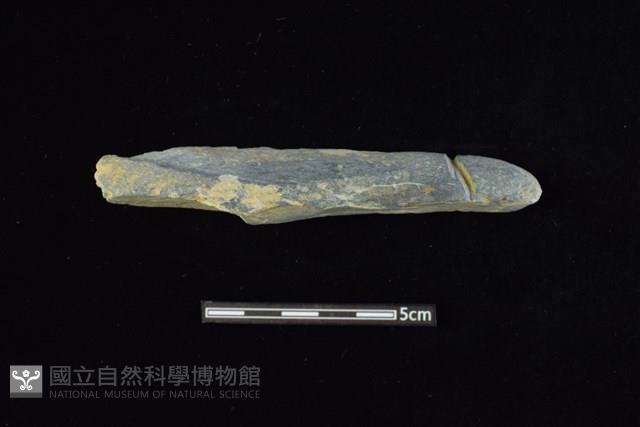 網墜藏品圖，第1張