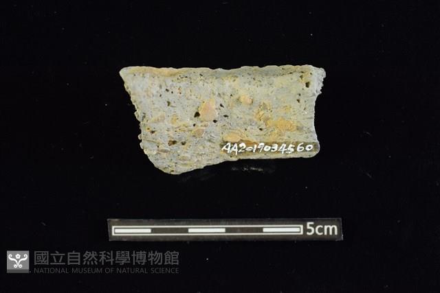 陶罐藏品圖，第2張