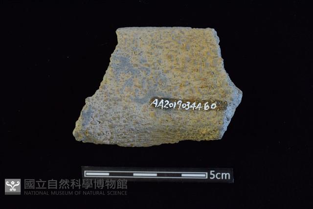 陶罐藏品圖，第2張