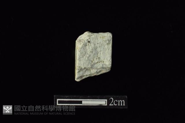 錛鑿形器藏品圖，第1張