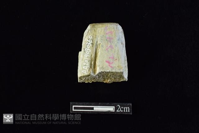 錛鑿形器藏品圖，第1張