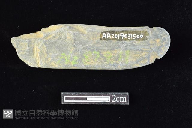 網墜藏品圖，第2張