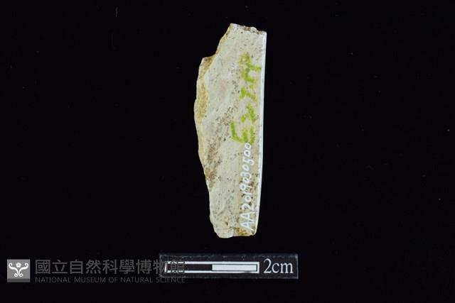 錛鑿形器藏品圖，第2張