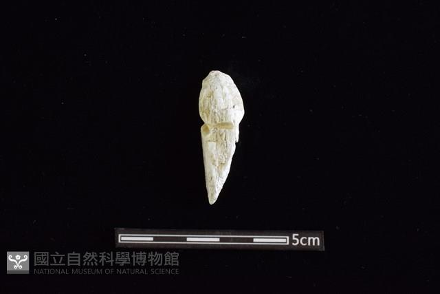 玉料藏品圖，第2張