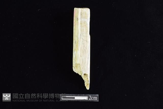 錛鑿形器藏品圖，第1張