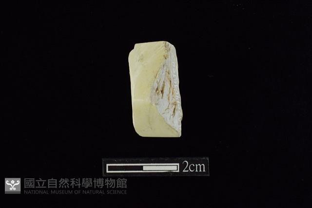 錛鑿形器藏品圖，第1張