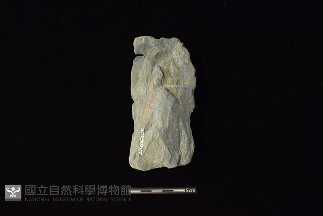 戈形器藏品圖，第2張