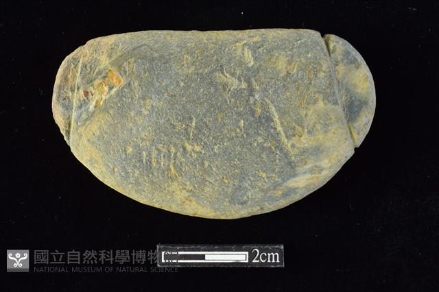 網墜藏品圖，第1張