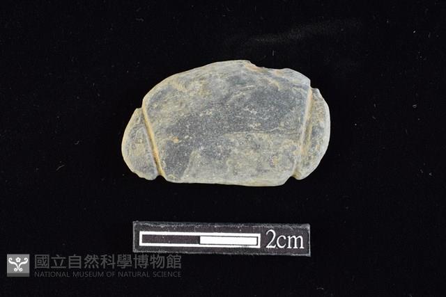 網墜藏品圖，第1張