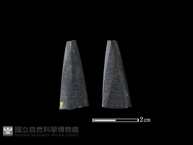 矛鏃形器藏品圖，第1張