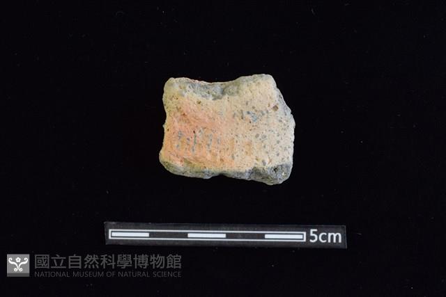 陶罐藏品圖，第1張