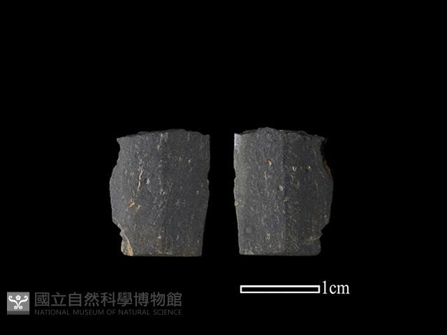 矛鏃形器藏品圖，第1張