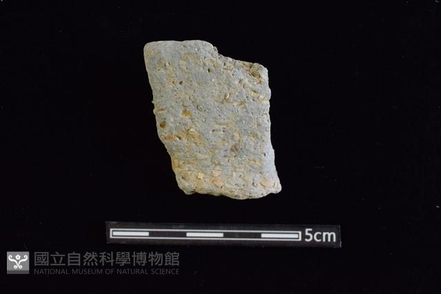 陶罐藏品圖，第1張