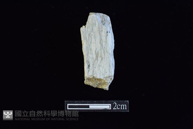 錛鑿形器藏品圖，第1張
