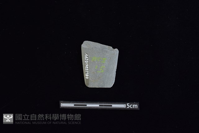 矛鏃形器藏品圖，第2張